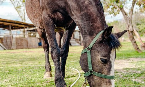 Salidas Pedagógicas SEMBRAMOS Salidas Pedagógicas SEMBRAMOS
